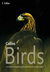 Birds, a complete guide