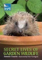 Secret lives of garden wildlife.