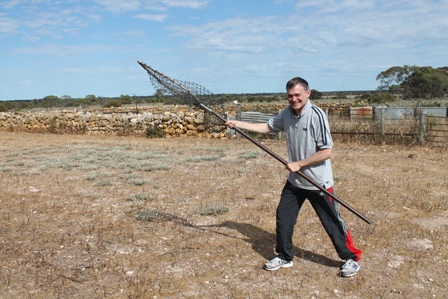 Wombat net (Dominic Couzens)