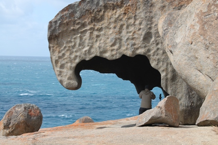 Seawatching from Remarkable Rocks (Dominic Couzens)