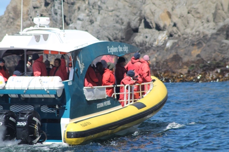 Bruny Island Expeditions boat (Dominic Couzens)