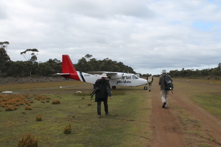 Airstrip at Bruny Island (Dominic Couzens)