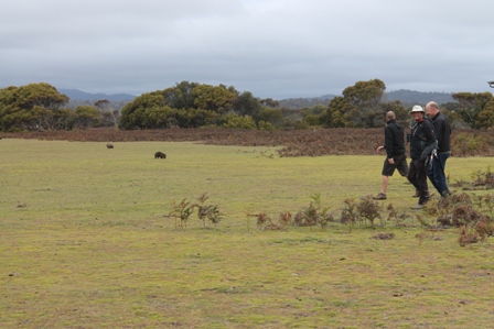 Narawntapu NP (Dominic Couzens)