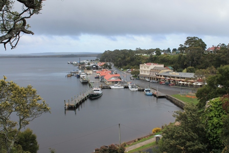 Strahan, northwest Tasmania (Dominic Couzens)