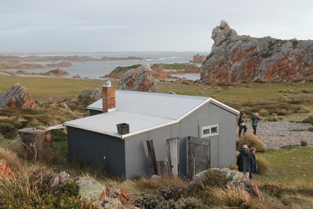 The Shack at King's Run, Tasmania (Dominic Couzens)