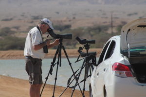 Does Tim look stressed? Trying to find a Broad-billed Sandpiper at km20