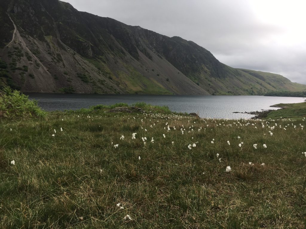 Wast Water