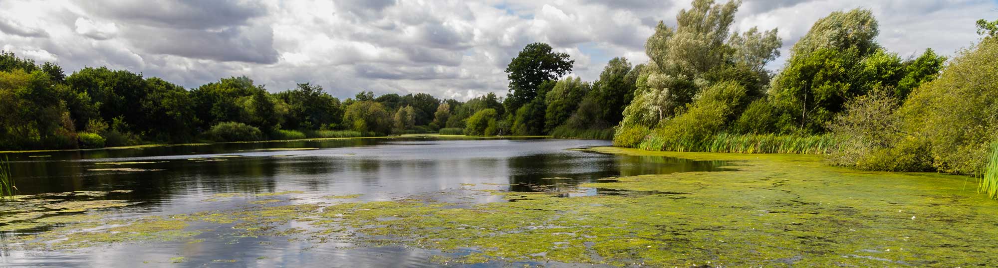 Longham Lakes