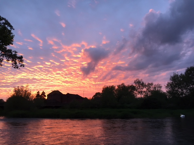 Sunset at Longham Bridge, 12/05/2018 (Dominic Couzens)